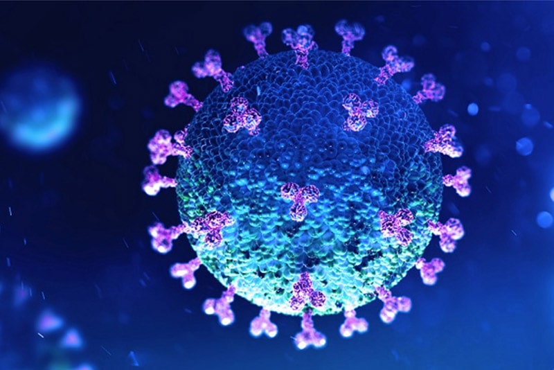 coronavirus from BHF