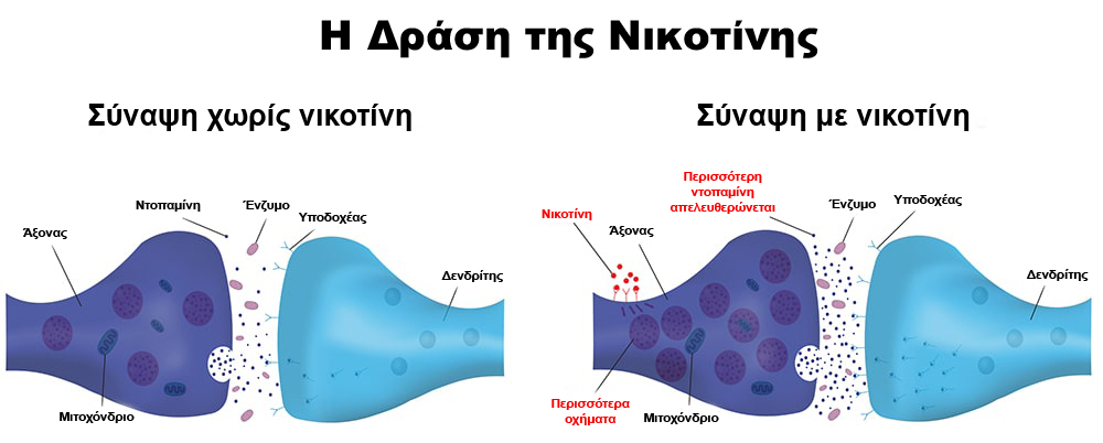 Diakopi kapnismatos 8
