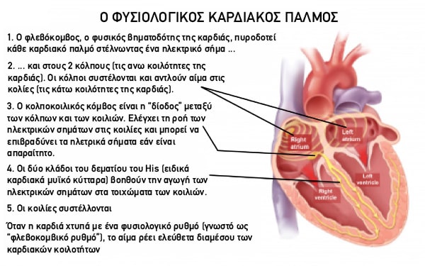 Fisiologikos kardiakos palmos 1